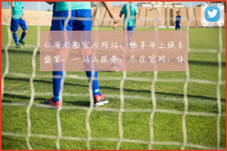 公海彩船官方网站，畅享海上娱乐盛宴，一站式服务，尽在官网，体验非凡