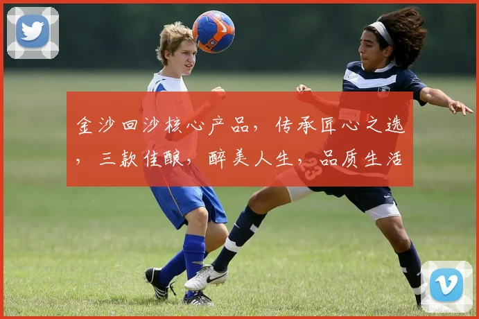 金沙回沙核心产品，传承匠心之选，三款佳酿，醉美人生，品质生活必备，品鉴首选