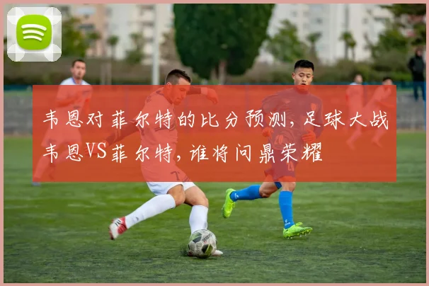 韦恩对菲尔特的比分预测,足球大战韦恩VS菲尔特,谁将问鼎荣耀