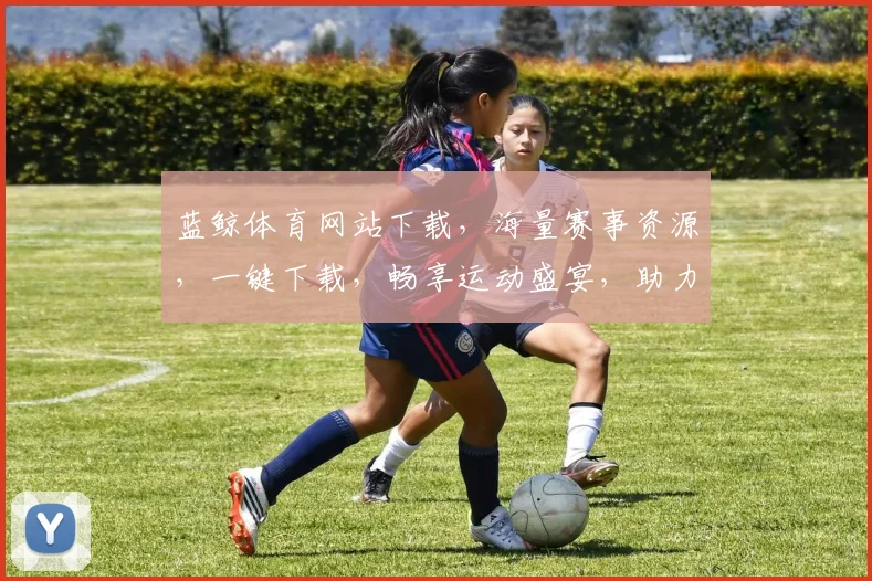 蓝鲸体育网站下载，海量赛事资源，一键下载，畅享运动盛宴，助力体育迷
