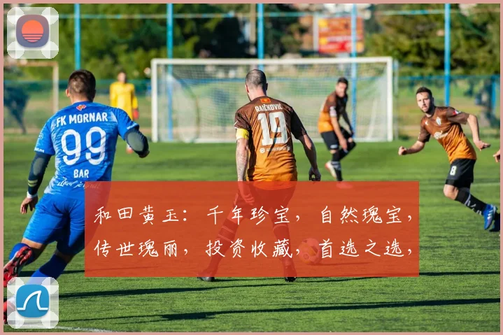 和田黄玉：千年珍宝，自然瑰宝，传世瑰丽，投资收藏，首选之选，魅力无穷。