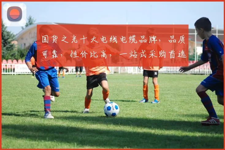 国货之光十大电线电缆品牌，品质可靠，性价比高，一站式采购首选